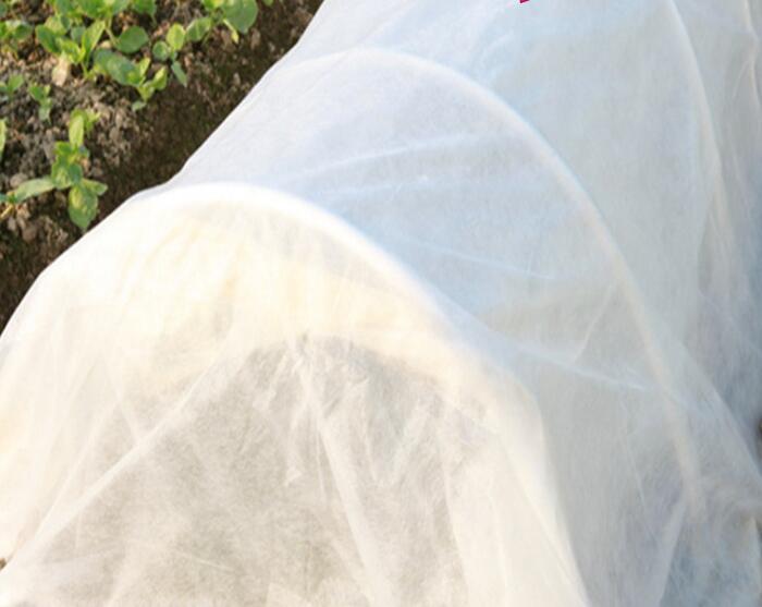 水稻無紡布產(chǎn)品細(xì)節(jié)圖